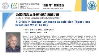 A Crisis in Second Language Acquisition Theory and Practice: What To Do?