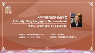 2024年ADCN(Affibody-Drug Conjugate Nanomedecine)靶向抗肿瘤纳米药